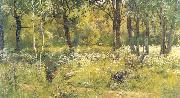 Ivan Shishkin Grassy Glades of the Forest Sweden oil painting artist